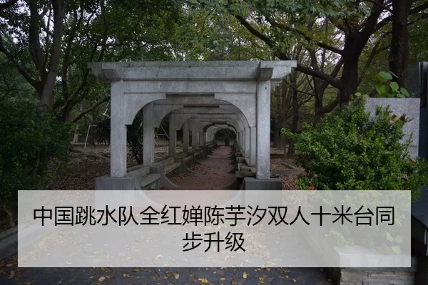 中国跳水队全红婵陈芋汐双人十米台同步升级