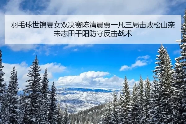 羽毛球世锦赛女双决赛陈清晨贾一凡三局击败松山奈未志田千阳防守反击战术