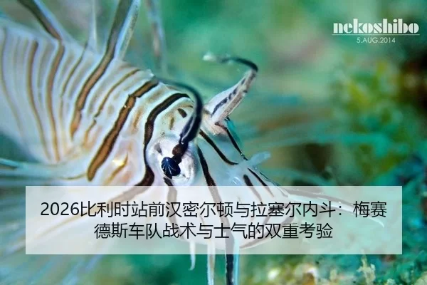 bi-li-shi-zhan-qian-han-mi-er-dun-yu-la-sai-er-nei-dou-mei-sai-de-si-che-dui-zhan-shu-yu-shi-qi-de-shuang-chong-kao-yan-2-106.jpg